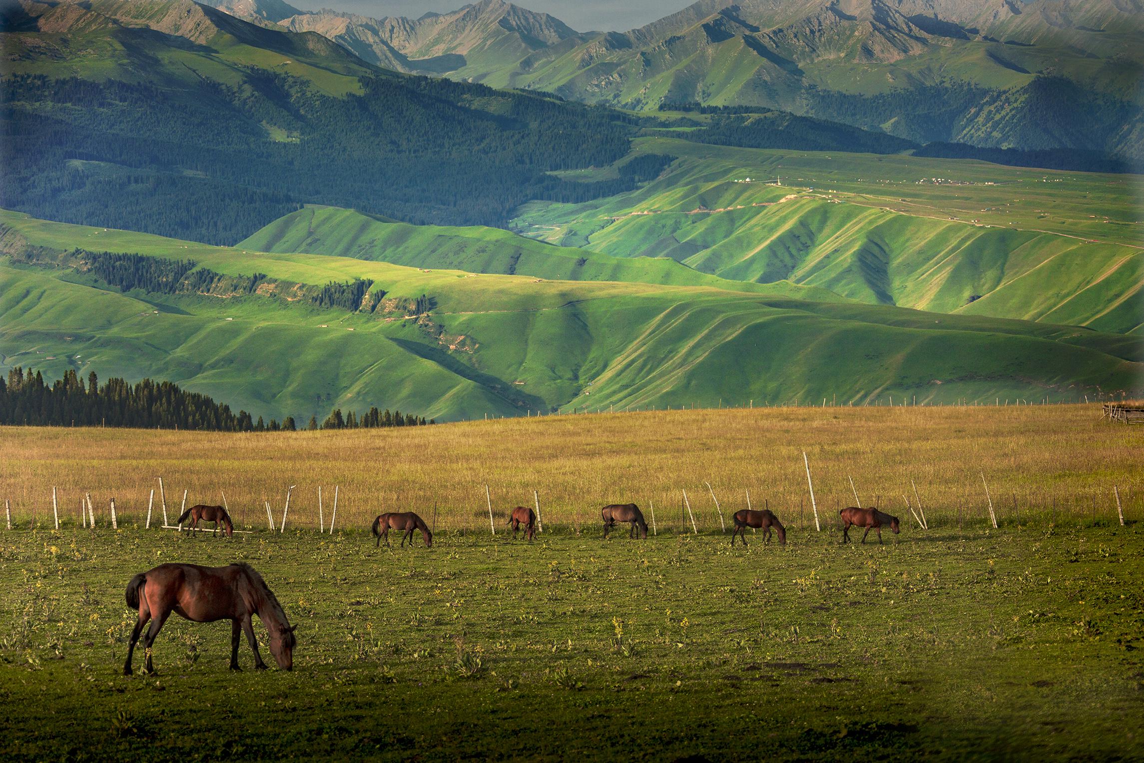 新疆,多彩边疆的魅力与独特风采