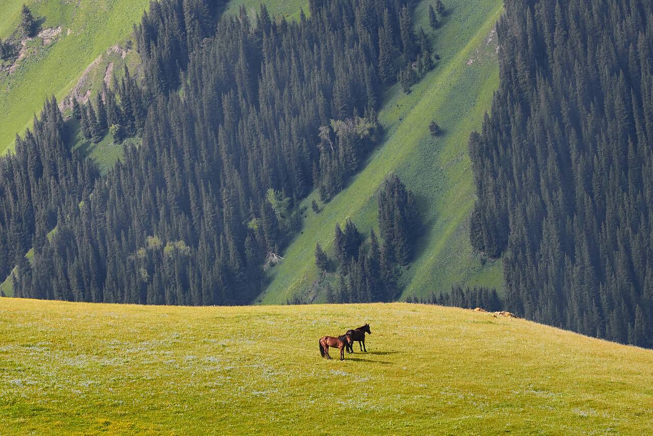 新疆,多彩边疆的魅力与独特风采