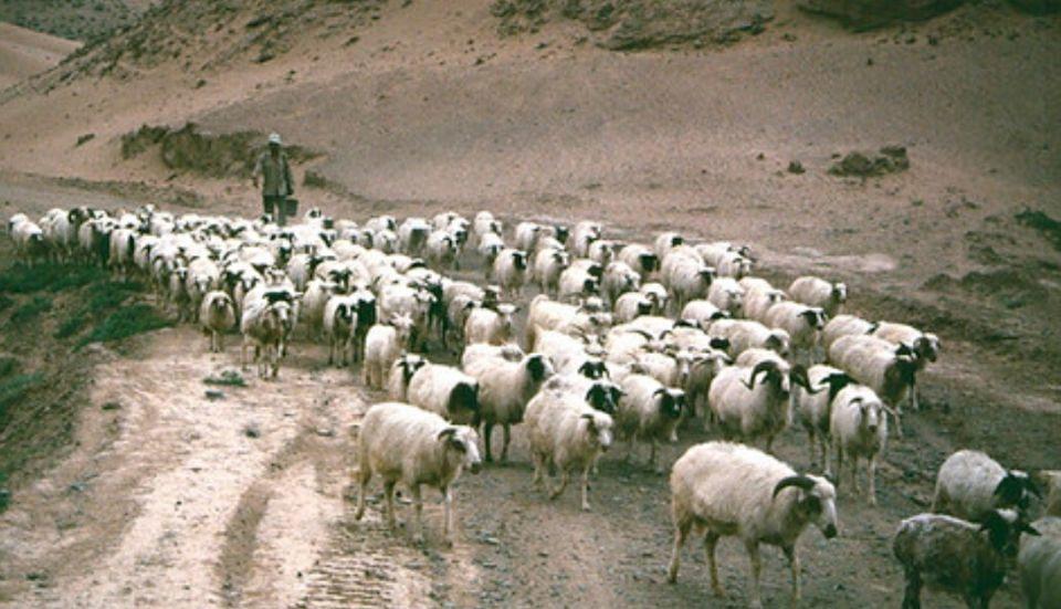 宁夏，民族团结进步典范与西部大开发战略支点